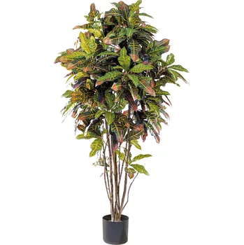 umělá květina Umělý strom Croton přírodní kmen, 150cm