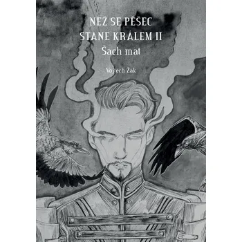 Kniha Než se pěšec stane králem II Ekniha