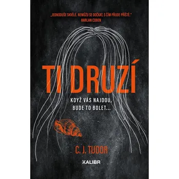 Beletrie pro dospělé Ti druzí Kniha