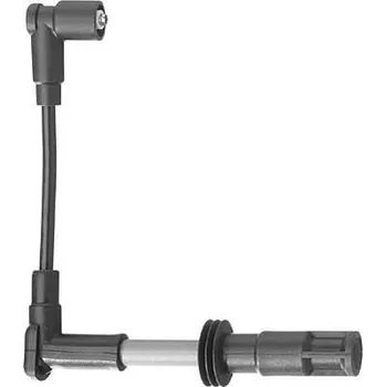 Zapalovací kabel Sada kabelů pro zapalování BorgWarner (BERU) ZEF1348