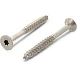 WT WINTECH Vrut do dřeva 10 × 60/50, TX, A2, se zápustnou hlavou / balení 100 ks