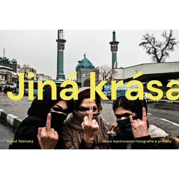 Kniha Jiná krása Ekniha