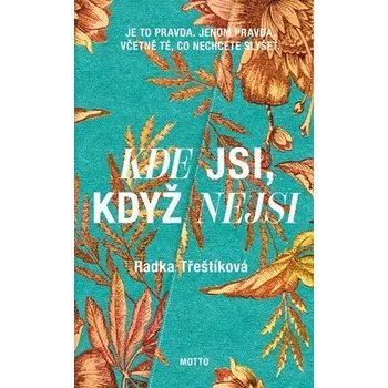 Kniha Kde jsi, když nejsi Ekniha