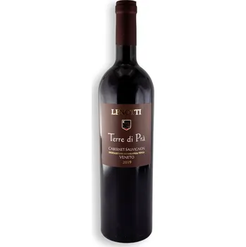 Víno Cantina Lenotti Terre di Pra Cabernet Sauvignon DOC 0,75 l, 13 % vol.