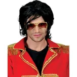 FUNNY FASHION Paruka černá pánská