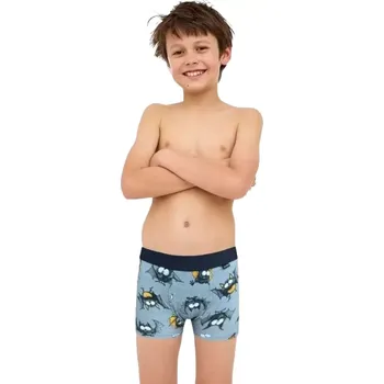 Chlapecké spodní prádlo Chlapecké boxerky s veselými netopýry Cornette Young Bat šedé velikost 146/152