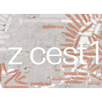 Kniha Zápisky z cest 1 Ekniha