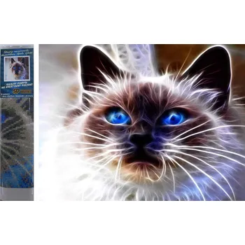 Diamantové malování Norimpex Kočičí magie 30 × 40 cm