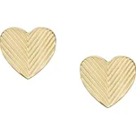 Fossil pozlacené JF04654710