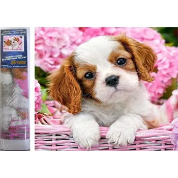 Diamantové malování Norimpex Štěně v růžovém košíku 30 × 40 cm