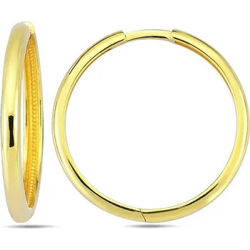 Náušnice DIANTE Zlaté náušnice kruhy 59642358 (Au 585/1000, 2,55 g)