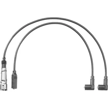 Zapalovací kabel Sada kabelů pro zapalování BorgWarner (BERU) ZEF1149