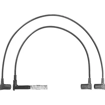 Zapalovací kabel Sada kabelů pro zapalování BorgWarner (BERU) ZEF597