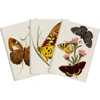Sada tří notýsků Butterflies