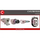 Casco CVG78015GS EGR ventil