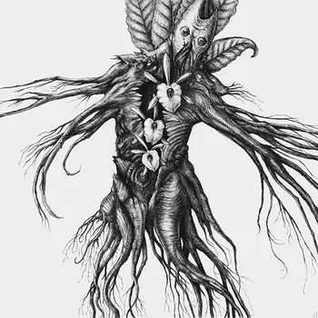 Niccolo Machiavelli: Mandragora Audiokniha