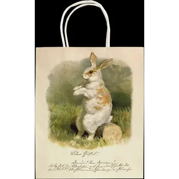 Dárková taška Dárková papírová taška Spring Animals Bunny