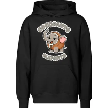 Chlapecká mikina Dětská mikina Cocofanto elefanto Barva: Černá, Velikost: 6