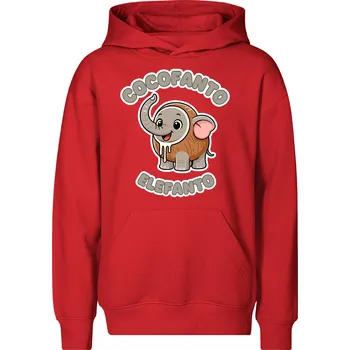 Chlapecká mikina Dětská mikina Cocofanto elefanto Barva: Červená, Velikost: 12