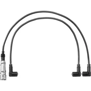 Zapalovací kabel Sada kabelů pro zapalování BorgWarner (BERU) ZEF716