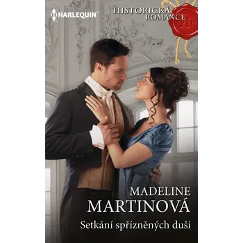 Setkání spřízněných duší Ekniha