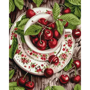 Obraz Obraz Malování podle čísel 40x50 IDEYKA NA RÁMU