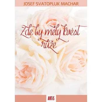 Zde by měly kvést růže Ekniha