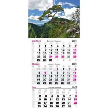 Kalendář Třídílný kalendář Pieniny 2026 s pevnou hlavou