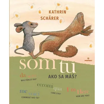 Cizí jazyk Som tu: Ako sa máš? Kniha