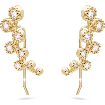 Šperk Biju Pozlacené náušnice 14K větvička se zirkony 1003155