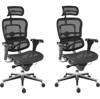 ANTARES Kancelářská židle - křeslo ERGOHUMAN Antares - 2 ks