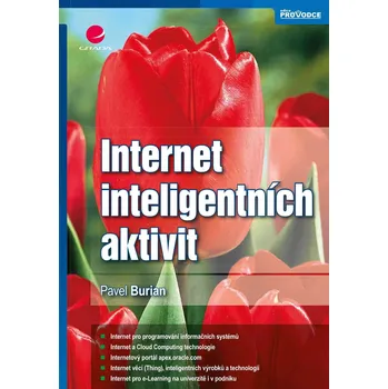 Kniha Internet inteligentních aktivit Ekniha