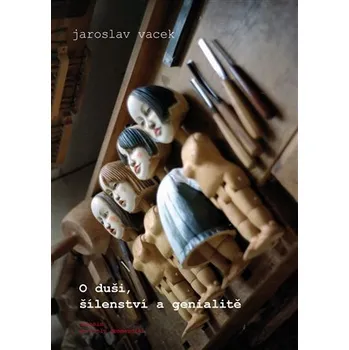 Kniha O duši, šílenství a genialitě Ekniha