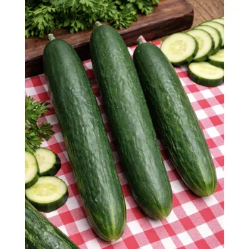 Semeno SEMO Okurka salátová Linda F1 1,3 g