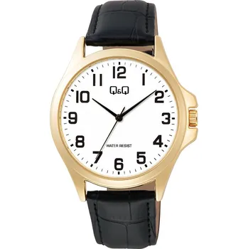 Hodinky Pánské hodinky Q+Q Mens C36A-009PY