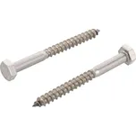 WT WINTECH Vrut do dřeva DIN 571 10 × 80 A2 / balení 100 ks