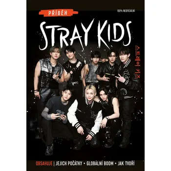 Příběh Stray Kids Ekniha