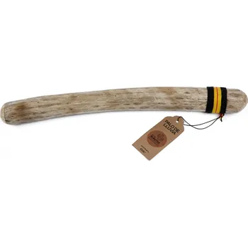 Deštná kaktusová hůl — 50 cm (silná)