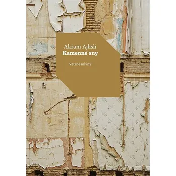 Kniha Kamenné sny Ekniha