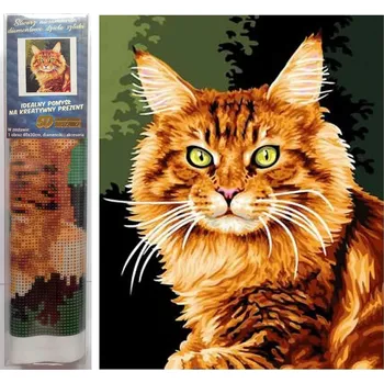 Diamantové malování Norimpex Zrzavá kočka 30 × 40 cm