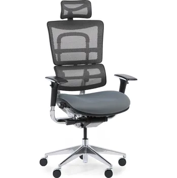 Multifunkční kancelářská židle WINSTON SAB, šedá