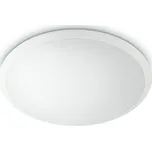 Philips - LED stropní svítidlo 1xLED/20W/230V
