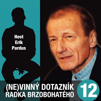 (Ne)vinný dotazník Radka Brzobohatého 12. Audiokniha