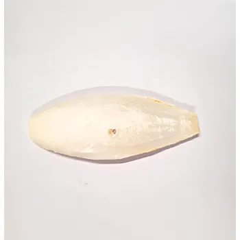 Pro ptáka Sépiová kost 10 cm 1 ks