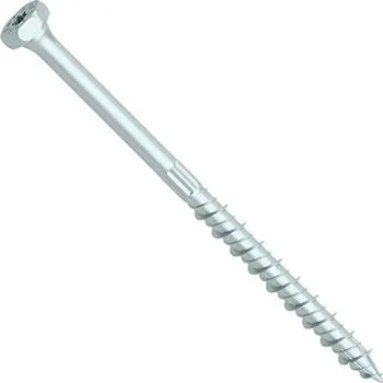 Vrut WT WINTECH RAPID®Dual DH - Šestihran/TX40 10 × 200/100 ZB / balení 50 ks