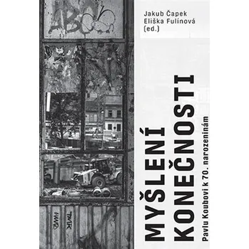 Myšlení konečnosti Ekniha