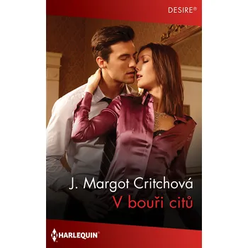 Kniha V bouři citů Ekniha