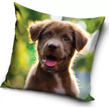 Povlak na polštářek Povlak na polštářek Štěňátko Malý nezbeda 40x40 cm