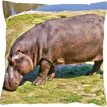 Povlečení 4sleep Povlak na polštář 40 × 40 cm, na zip velur - Hroch