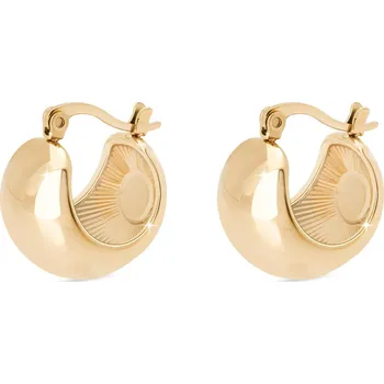 Náušnice Biju Pozlacené náušnice z chirugické oceli 1003066